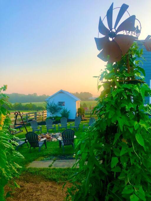 Madeline Farms Villa Luray Buitenkant foto