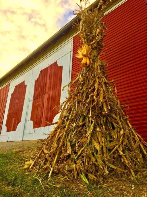 Madeline Farms Villa Luray Buitenkant foto