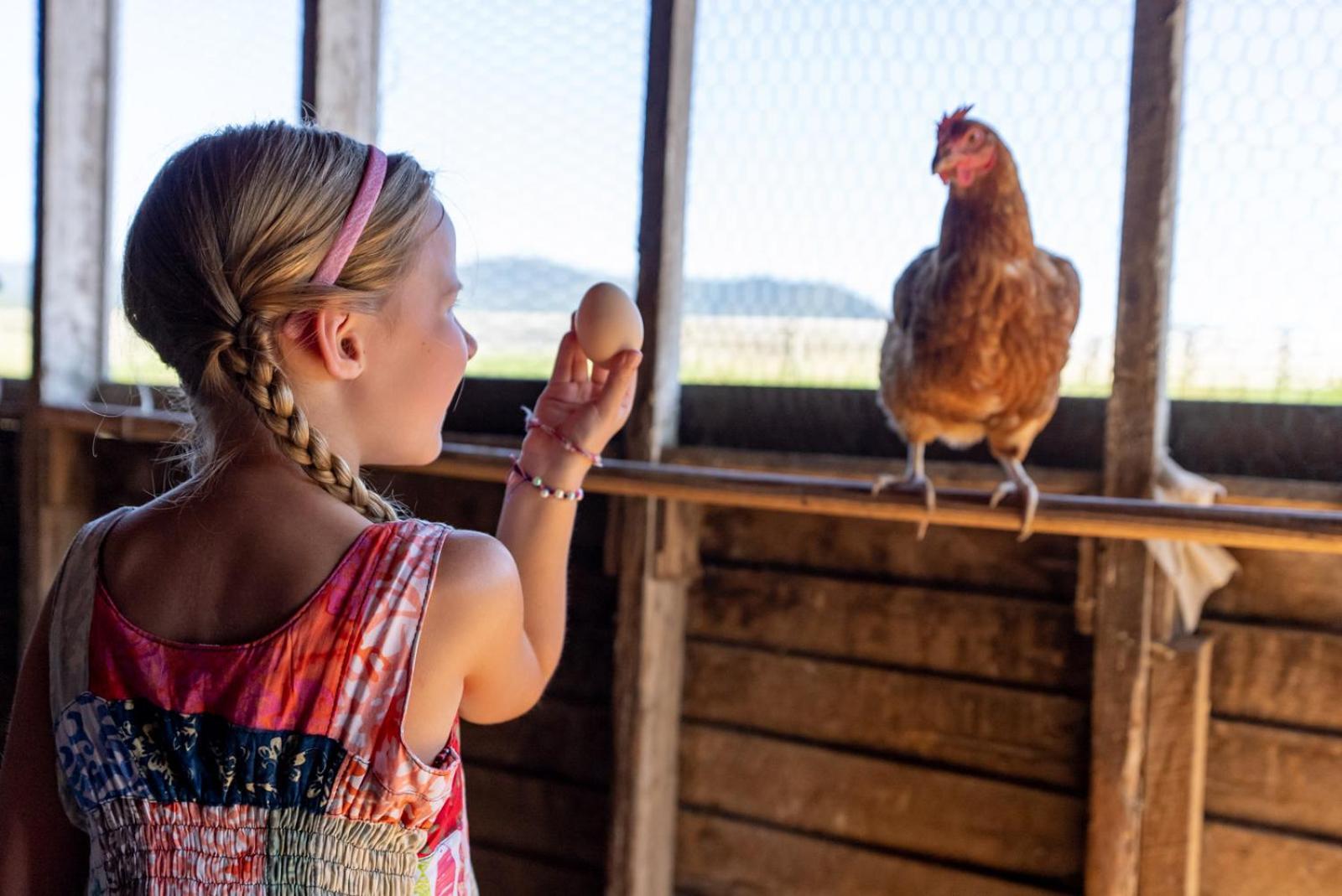 Madeline Farms Villa Luray Buitenkant foto