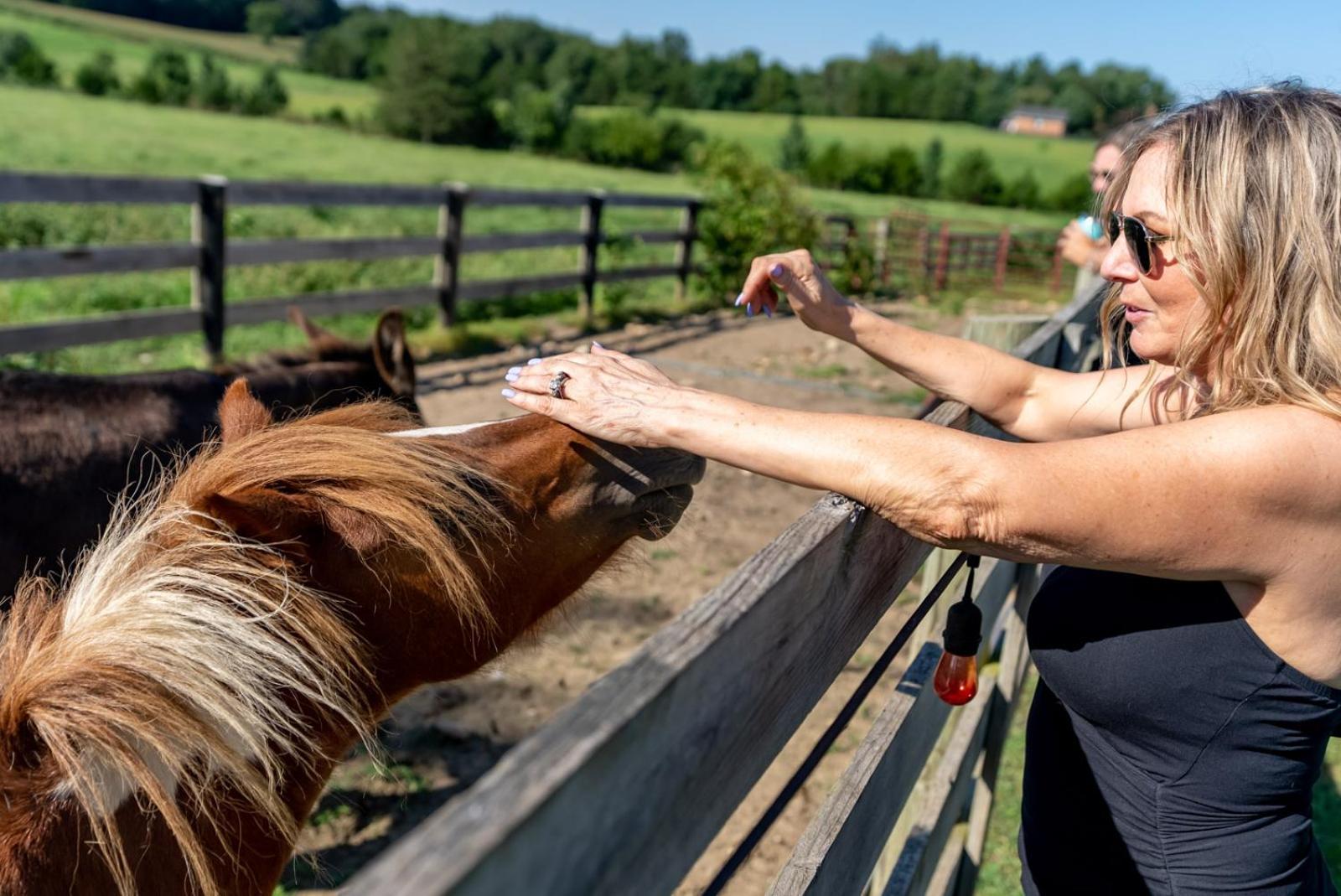 Madeline Farms Villa Luray Buitenkant foto